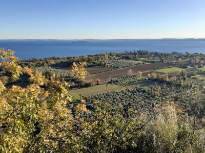 Holiday apartment Casa Blume - Environment photo 26