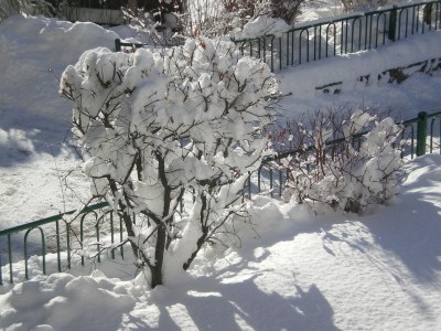 Apartment Apartment Suaut im Haus Mussner - Outdoor photo 4