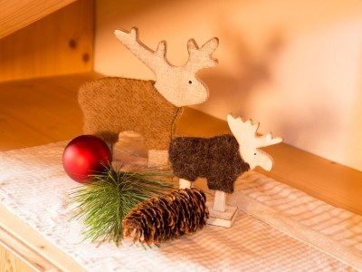 Apartment Apartment Suaut im Haus Mussner - Features photo 11