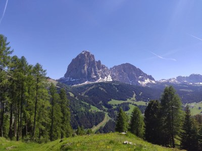 Apartment Apartment Suaut im Haus Mussner - Environment photo 28