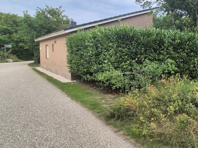 Holiday apartment Villa Ockenburgh - Outdoor photo 9