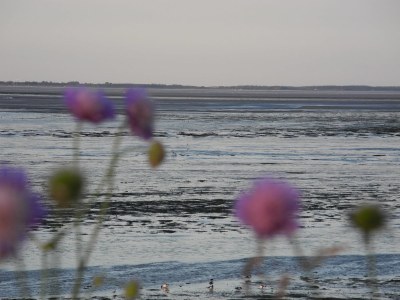 Holiday apartment Floto - Environment photo 16