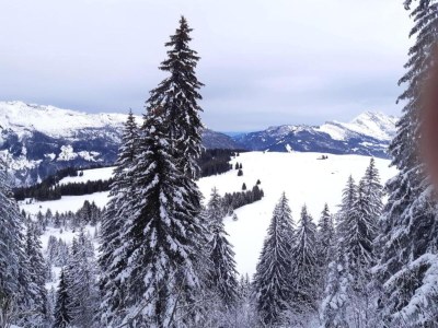 Holiday park Chalet in La Clusaz mit Pool und Spa - Environment photo 15