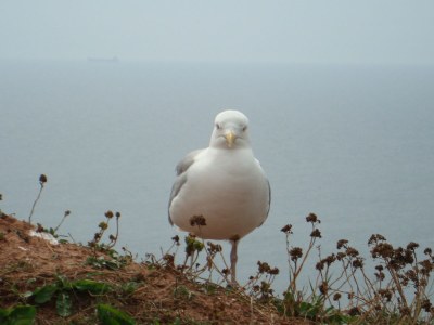 Holiday apartment Seestadt-Studio-Bremerhaven - Environment photo 17