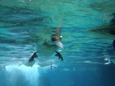 Holiday apartment Seestadt-Studio-Bremerhaven - Environment photo 19