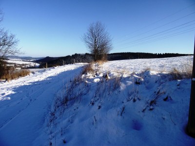 Holiday house XXL holiday house in the Sauerland - Outdoor photo 8