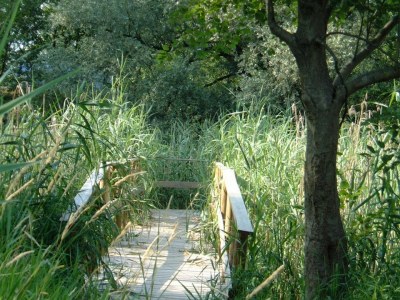 Holiday apartment Exklusiv in  Konstanz/Paradies - Environment photo 14