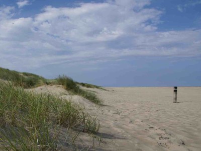 Bungalow Luxury bungalow on Texel - Environment photo 18