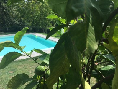 Villa Villa Paradiso - Outdoor photo 7