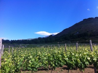 Villa Villa Paradiso - Environment photo 18