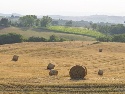 Villa Villa Paradiso - Environment photo 20