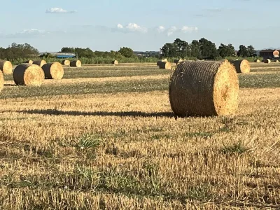 Villa Villa Paradiso - Environment photo 22