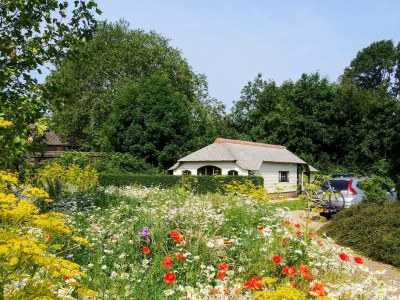 Holiday house The Veenhuisje - Environment photo 11