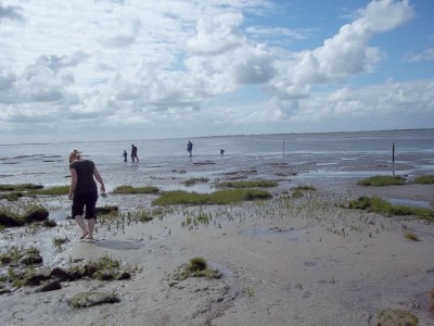 Holiday apartment Über'm Deich - Environment photo 13