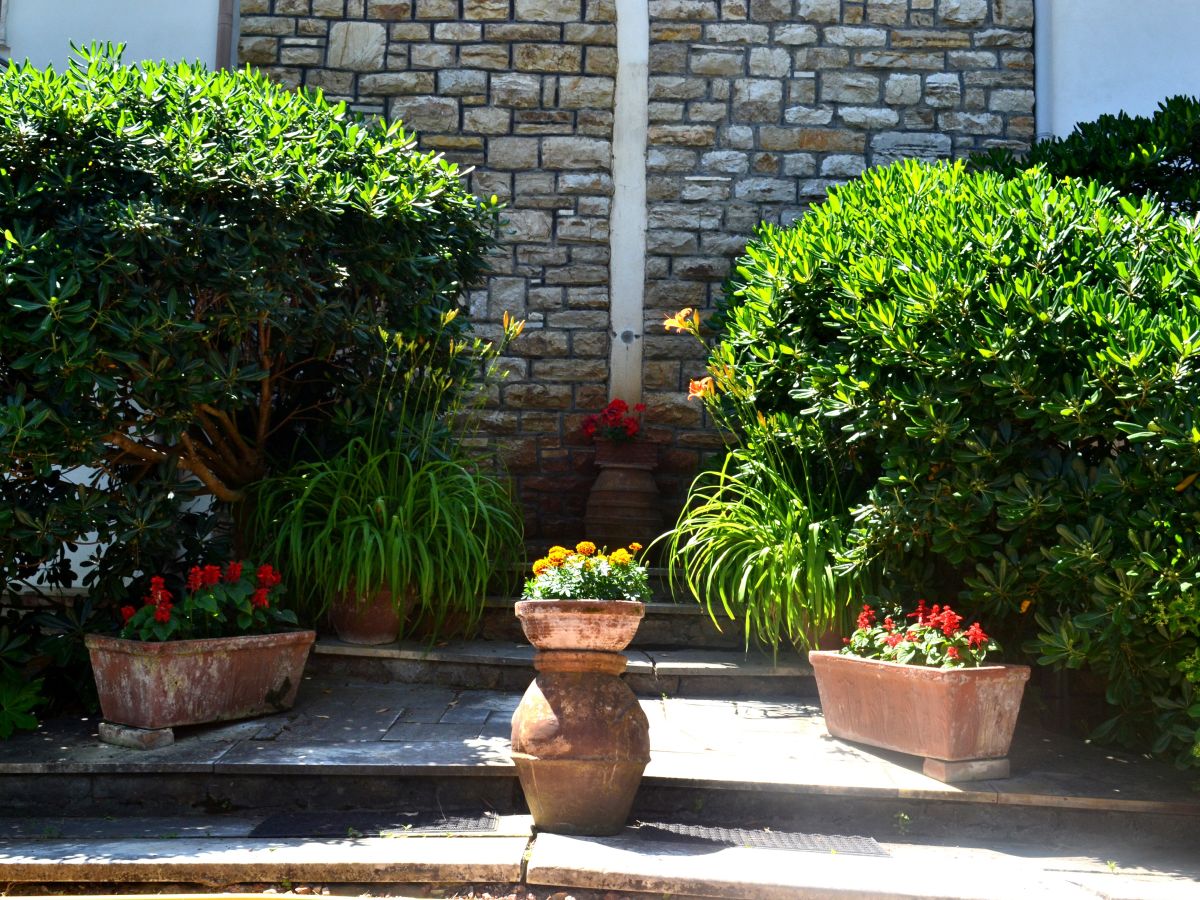 Holiday apartment Casa Furrer "B" - Outdoor photo 4