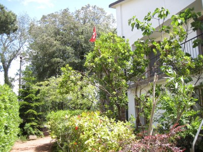 Holiday apartment Casa Furrer "B" - Outdoor photo 2