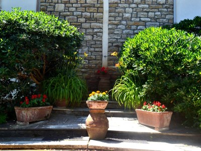 Holiday apartment Casa Furrer "B" - Outdoor photo 4