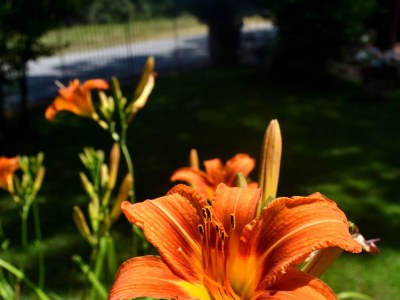 Holiday apartment Casa Furrer "EL" - Outdoor photo 5