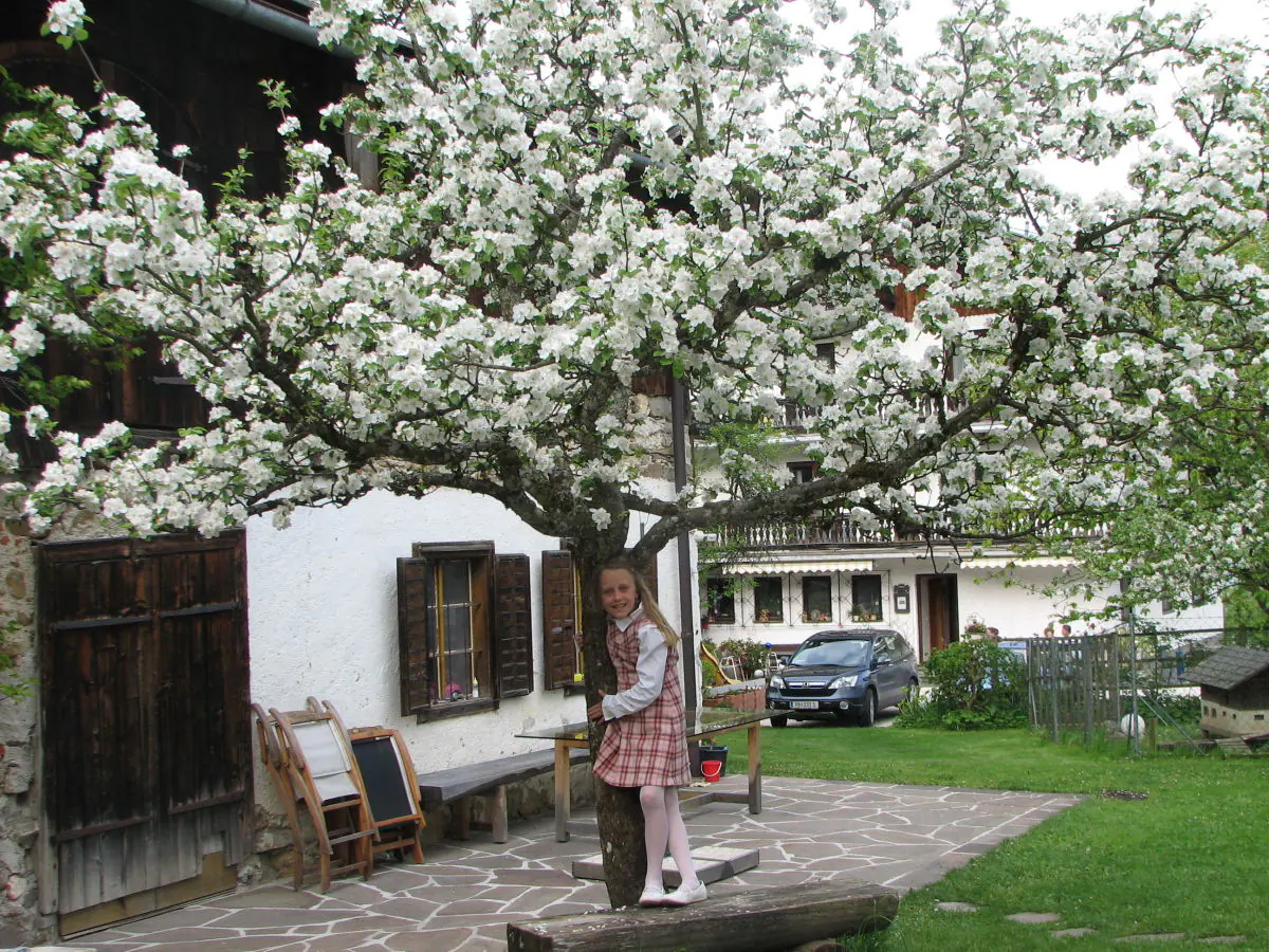 Holiday apartment Zimnitz - Outdoor photo 5