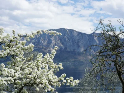 Holiday apartment Zimnitz - Environment photo 13