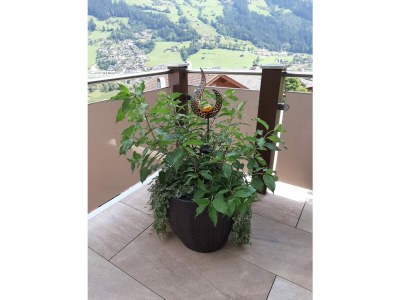 Holiday apartment Pichler - Outdoor photo 7