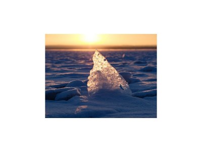 Holiday house Seepark Heidenholz, Plau am See - Environment photo 20