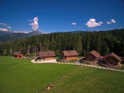 Chalet 1A-Apartments Chalets  Weissenbacher in Tamsweg - Chalet