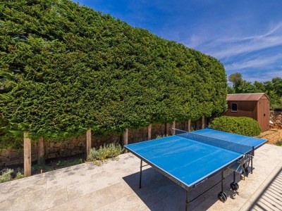 Holiday house Villa GITA with private pool - Features photo 14