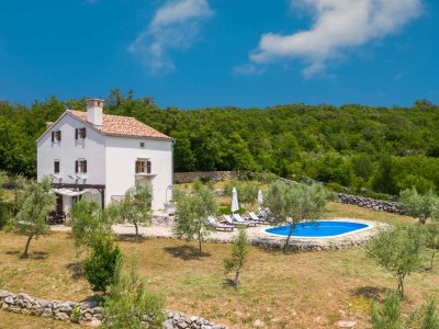 Holiday house Rustic Vacation Home HARMONIE with private pool and large garden in Brusići - Holiday house