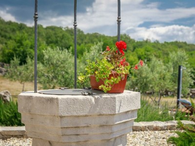 Holiday house Rustic Vacation Home HARMONIE with private pool and large garden - Outdoor photo 10