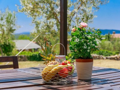 Holiday house Rustic Vacation Home HARMONIE with private pool and large garden - Outdoor photo 14