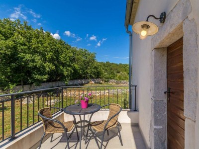 Holiday house Rustic Vacation Home HARMONIE with private pool and large garden - Outdoor photo 16