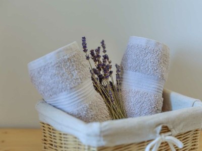 Holiday house Rustic Vacation Home HARMONIE with private pool and large garden - Features photo 31