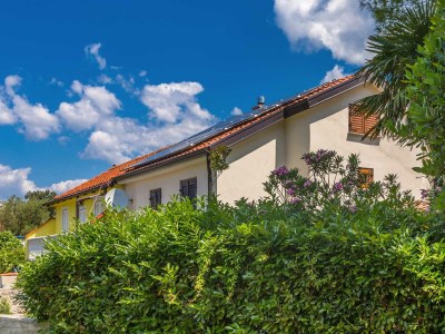 Holiday house Holiday house DUNJA with private pool - Environment photo 49