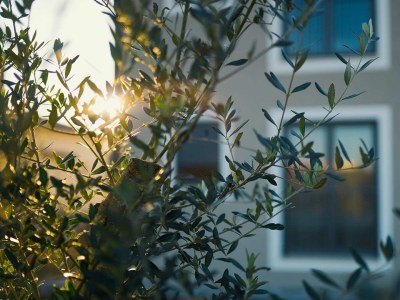 Villa Villa & Garden - Luxury villa with swimming pool - Environment photo 38