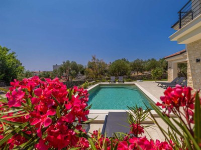 Villa Villa LA RESIDENCE OLIVETTE with private pool and sauna - Outdoor photo 7