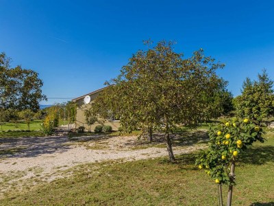 Holiday house Holiday house TRSJA with swimming pool - Outdoor photo 13