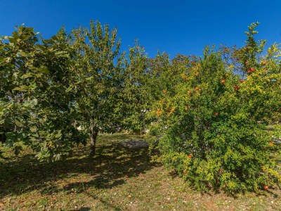 Holiday house Holiday house TRSJA with swimming pool - Outdoor photo 14