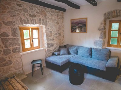 Holiday house Rustical holiday house Jela with swimming pool - Features photo 15