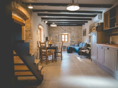 Holiday house Rustical holiday house Jela with swimming pool - Features photo 19