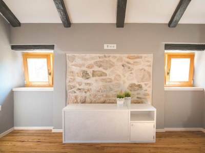 Holiday house Rustical holiday house Jela with swimming pool - Features photo 34