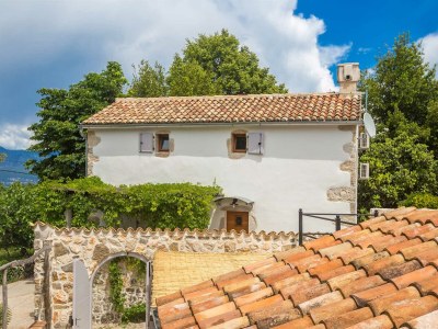Holiday house Rustical holiday house Jela with swimming pool - Environment photo 50