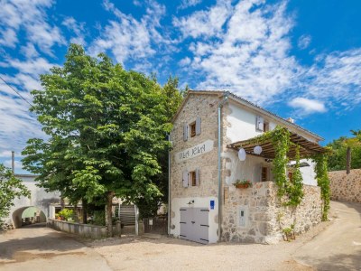 Holiday house Rustical holiday house Jela with swimming pool - Environment photo 51