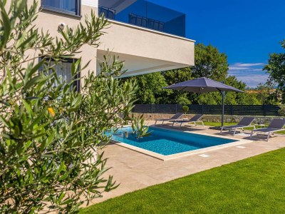 Holiday house Holiday house OLIVE BLUE with private pool - Outdoor photo 7