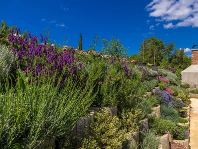 Villa Villa SPLENDIDA with private pool - Environment photo 62