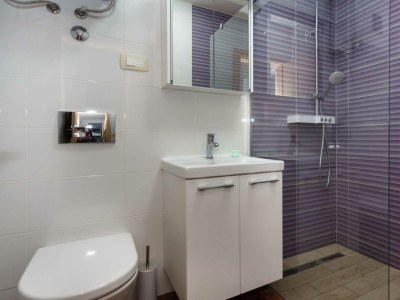 Villa Holiday house OBZOVA with private pool - Features photo 27