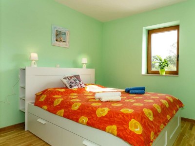 Villa Holiday house OBZOVA with private pool - Features photo 28