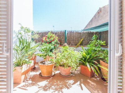 Holiday house Sunny Terrace Near Beach - Outdoor photo 39