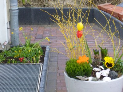 Holiday apartment "Kapitänshaus Schubert" - Outdoor photo 2