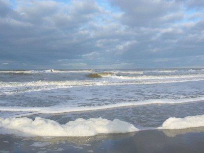 Holiday apartment "Kapitänshaus Schubert" - Environment photo 9